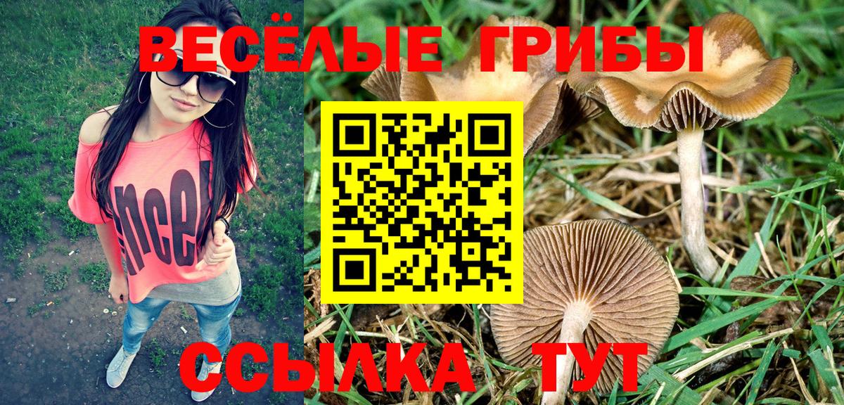 Галлюциногенные грибы мухоморы  Вход с VPN  Новодвинск 